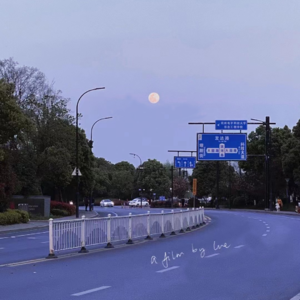 读书|她就这样过了一生&穷人的爱情|金爱烂|《滔滔生活》