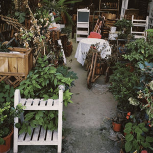 小妮子 | 如果我们几经转折，结局一样不动，也才算无愧这分合。