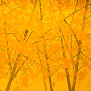 002. 走进爽朗的秋风里：草间弥生，卡茨，贾科梅蒂与秋日回忆