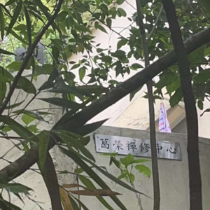 Vol3. 大家好！在禅修离营的最后一刻我物欲烧起来了！