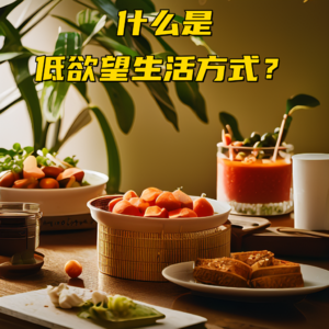 什么是低欲望生活方式？Vol.34