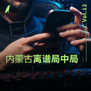 012 离谱局中局：内蒙古连续杀人案