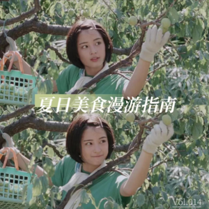 vol.014丨夏日美食漫游指南