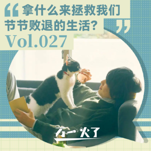Vol.027 拿什么来拯救我们节节败退的生活?