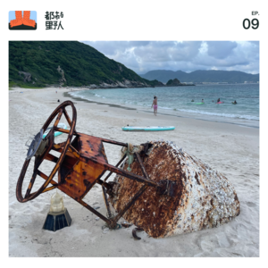 EP 9. 聊聊咨询行业