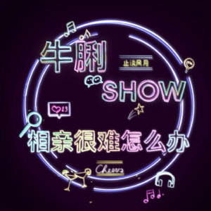 Vol.13 相亲很难怎么办