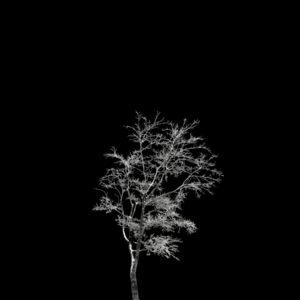 冬日里平常的一天