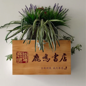 Vol.050 对话鹿鸣书店主理人:实体书店,还有希望吗?
