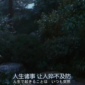 Vol.05 疫情特辑|在上海，写春天