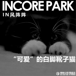 vol.318 阴风阵阵 可爱的白脚靴子猫