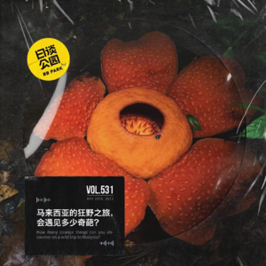 vol.531 马来西亚的狂野之旅,会遇见多少奇葩?