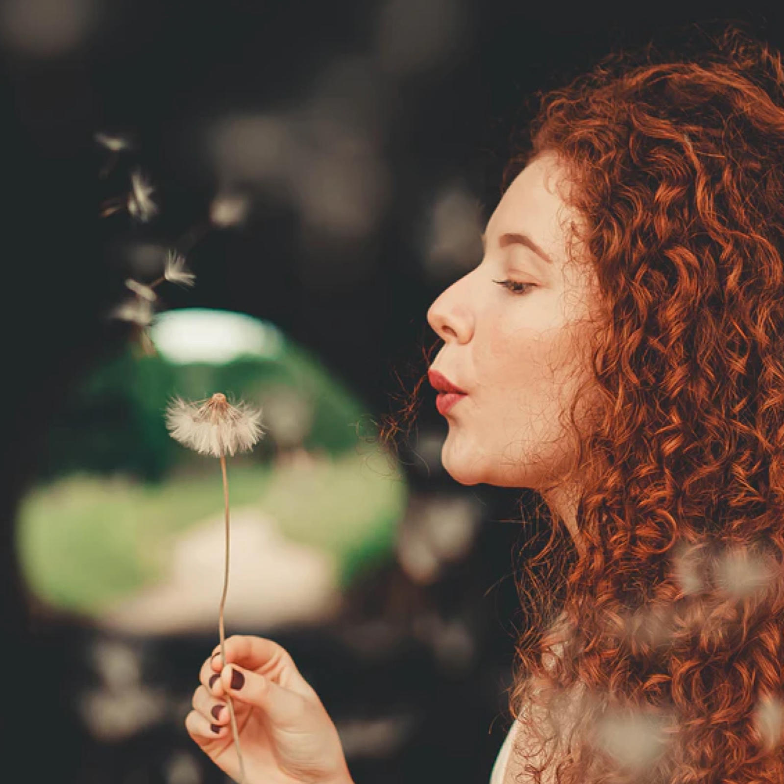 花精情绪身心灵疗愈|英国巴赫(贝曲)医生