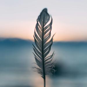 #387 把问题带到日更中来｜The Mini Sunday