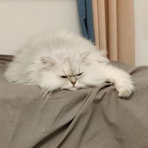 阳寿又少了一年，我还要拷问自己吗？