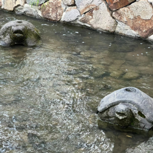 职场系列：谁也别想让我喝趴下（下集）｜无中生友 Vol.05