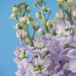 04.【发呆】新晋打工人的噩梦与美丽的钢管舞