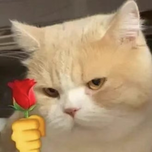 Vol.02｜ 调频仪式感 爱的舒适区在哪儿？