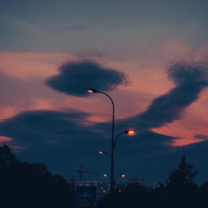 科学不一定科学 健康码也不见得健康【六根不净】 Vol. 017