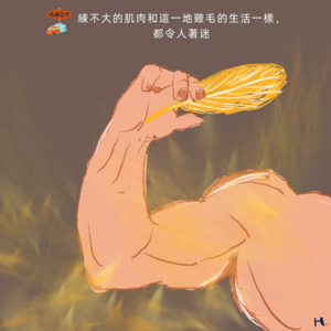 练不大的肌肉和一地鸡毛的生活一样，都令人着迷 Vol. 084