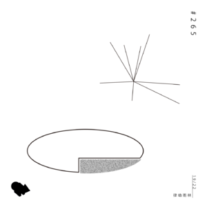265. 19/22 律动 雨林