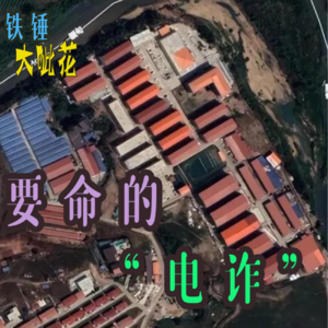 Vol019.电诈风云∣“缅北”真的那么可怕?!