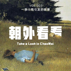 Vol. 003 卷还是躺？说说现代年轻人那些数不清的焦虑