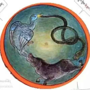 玄学夜话028ㅣ面对无常，人要学会接受