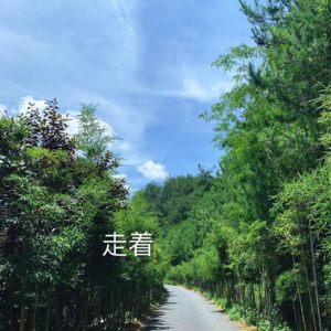 一些相聚,重逢,和离别