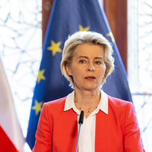 QuickDrive3：Anti-subsidy investigation into China-made EVs