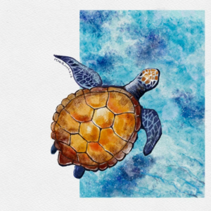 Vol.11【海龟汤】女明星女儿去整容医院，发现真相后自杀了？！