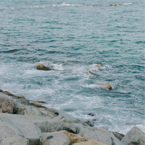 VOL.002 | 聊聊枫叶国的生活