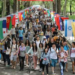 20221220唐伶老师：北语留学生汉语国际教育本科专业的建设和发展