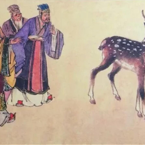 78 大秦七百年：赵高最后的疯狂 (1)