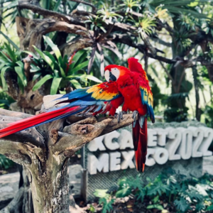 051. 光影穿梭:再看一眼2022