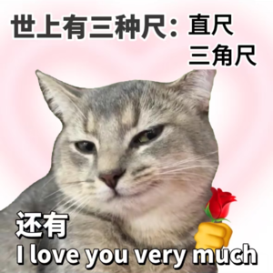 最浪漫的中式英语节目|How to fall in love with your crush？