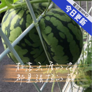 #64 散落在天涯的那些花儿都是强扭的瓜，不甜！！！