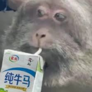 《资本主义的17个矛盾》："牛马"只需努力干活就好，老板需要考虑的事情就多了 | 第143期读书会