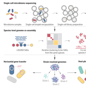 EP5：微流控帮助解析人肠道菌群的单细菌基因组