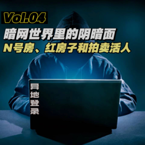 Vol.04 暗网世界里的阴暗面,N号房、红房子和拍卖活人