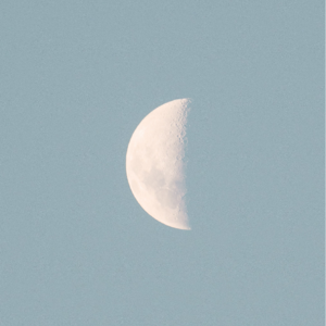 Vol.21 十二星座回血指南：月亮宫位看你在什么领域最有安全感之月亮12宫