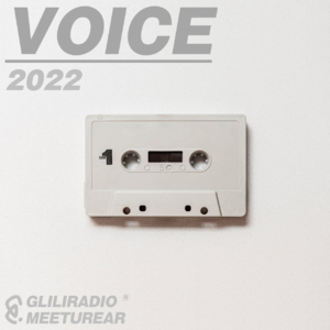 #30 voice of 2022