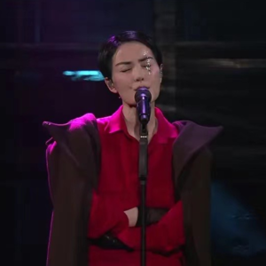 王菲如果你在听的话 [上] 我来听你的演唱会 【六根不净】 Vol. 008