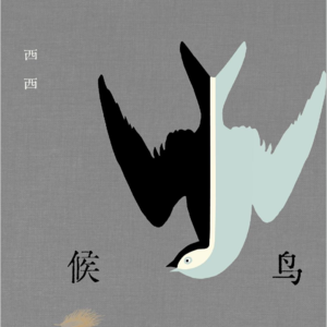 022《候鸟》第三章第二节