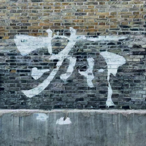 079. 小宝的一周生活观察