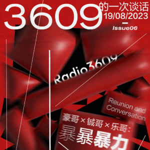 3609的一次谈话 第六期：暴暴暴力