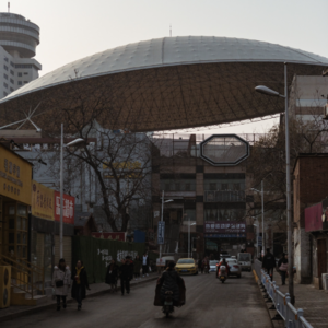 T041 认真学法，做好志愿者：回忆这二三年来关于成立业委会的二三事