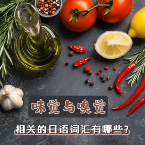 有关味觉与嗅觉相关的日语词汇有哪些？