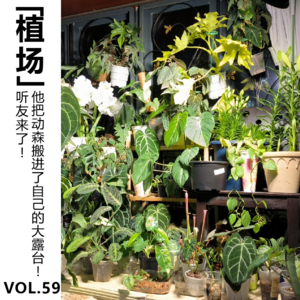 Vol.59【植场】听友来了！他把动森搬进了自己的大露台！