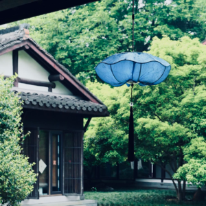 朗读系列 04 《我认得人类的寂寞》