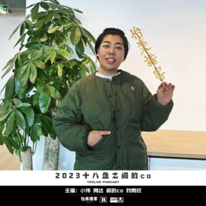 648.2023十八盘之阎的co